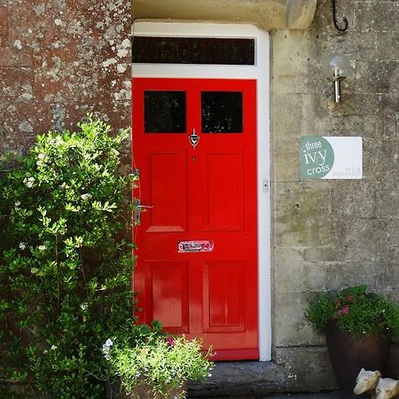 Three Ivy Cross Bed and Breakfast Shaftesbury Exteriör bild
