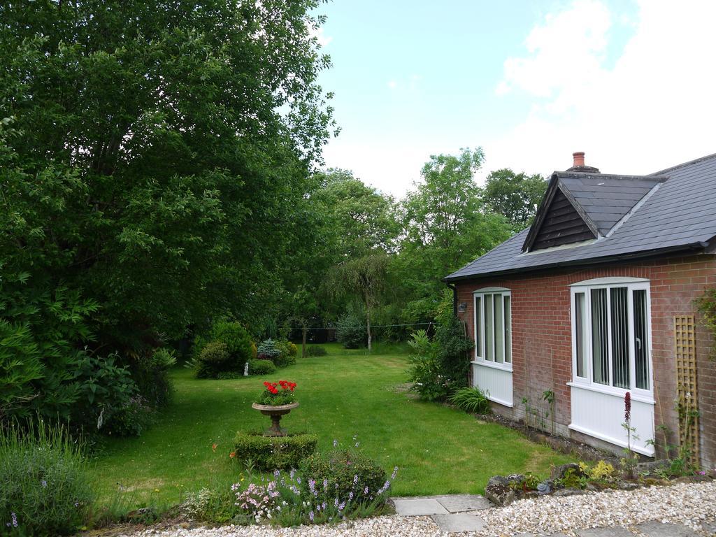 Three Ivy Cross Bed and Breakfast Shaftesbury Rum bild